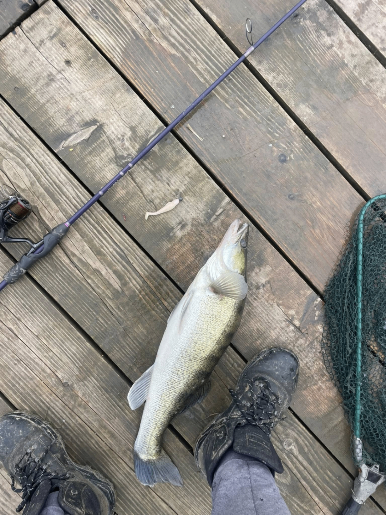 Captură de la baltă